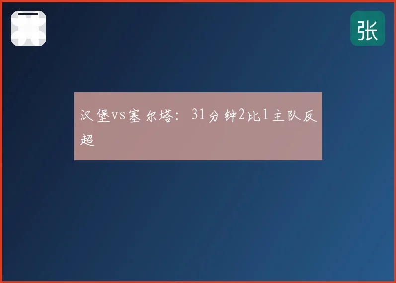 汉堡vs塞尔塔：31分钟2比1主队反超